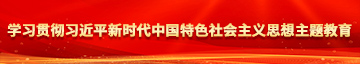 日穴小视频学习贯彻习近平新时代中国特色社会主义思想主题教育